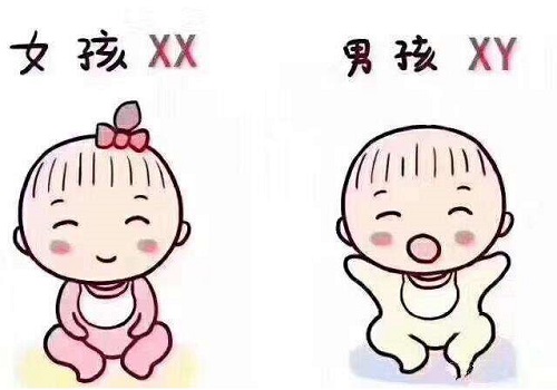試管嬰兒的流程是什么樣的？