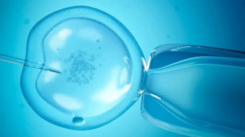 2022上海哪個醫院做試管嬰兒成功率最高？多長時間？