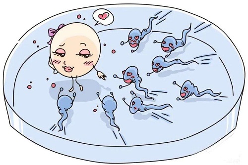 試管嬰兒的孩子的壞處