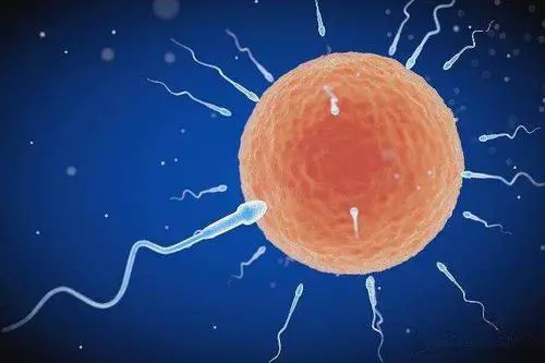 試管嬰兒的孩子優缺點有哪些？要不要做？