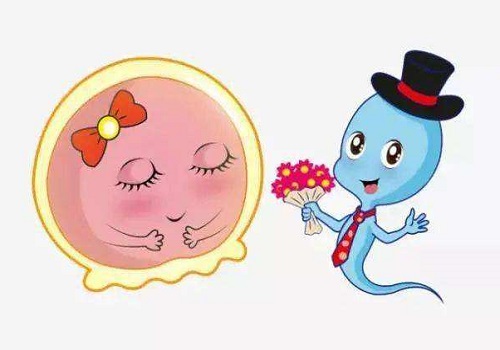 試管嬰兒的具體流程怎么樣？