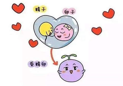 試管嬰兒的具體流程怎么樣？