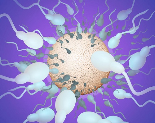 2022年長春第三代試管嬰兒醫院排名一覽