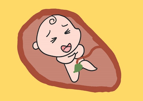 試管嬰兒的第二次