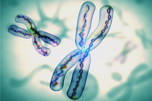 2022年試管嬰兒做一次多少錢呢