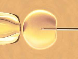2022四川哪個醫院做試管成功率高？