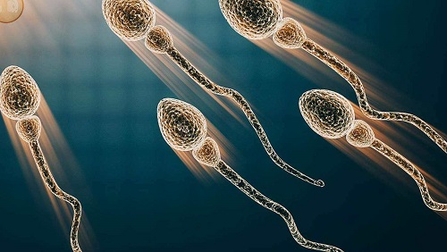 2020年北京第三代試管嬰兒成功率高嗎？