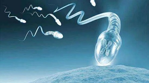 2022年沒有結婚證私立醫院做試管可行嗎？