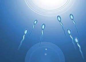 2022三代試管嬰兒醫院排行榜_3