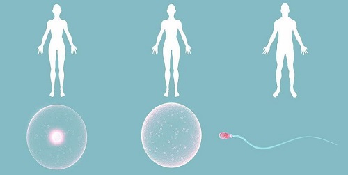試管嬰兒生孩子一般需要多久？