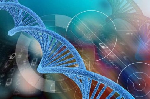 2021,慈銘博鰲三代試管費(fèi)用是多少?