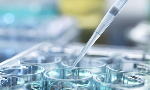 2021中國排名前十的試管嬰兒醫(yī)院一覽