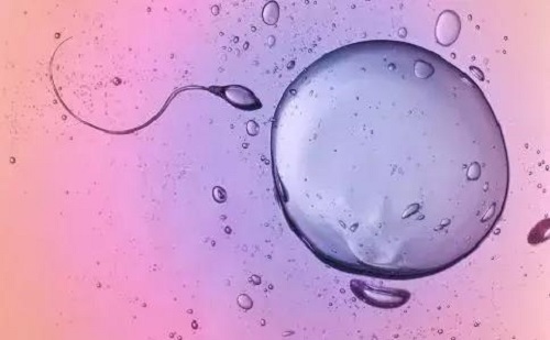 試管嬰兒生多少錢_2