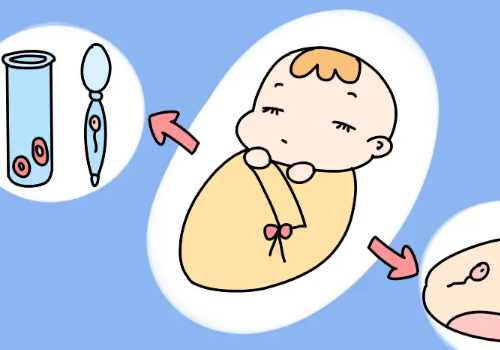 泰國試管費用情況是什么