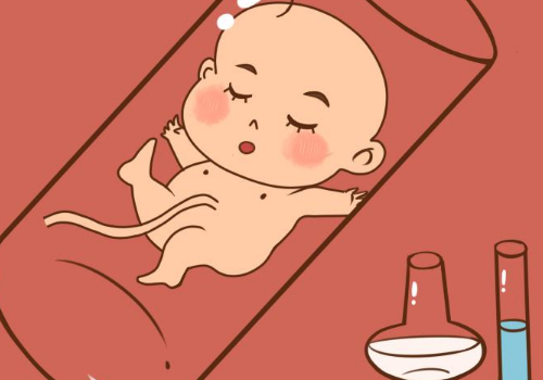 上海試管嬰兒費(fèi)用包括什么