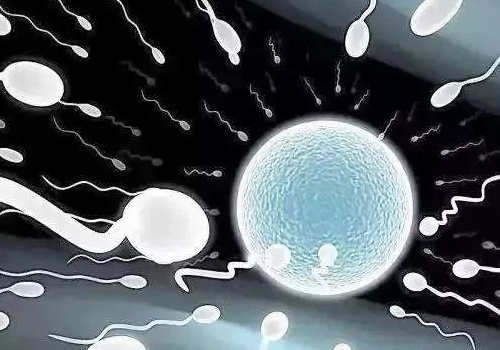 第三代試管嬰兒流程簡單介紹