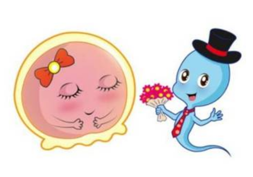 山西省人民醫院做試管嬰兒多少錢