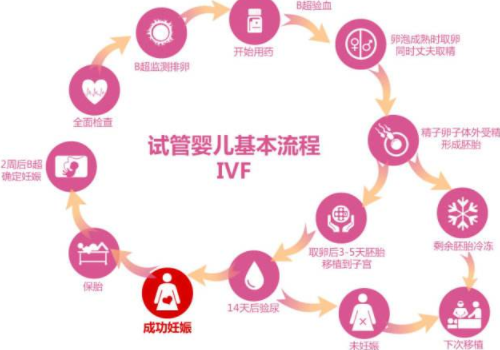 第三代試管的流程與費用多少