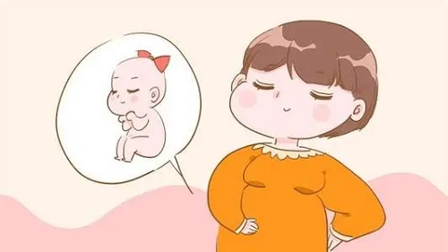 試管嬰兒時間？?