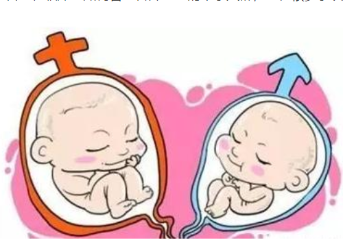 泰國試管服務中介公司？
