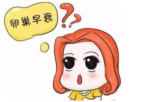 試管嬰兒泰國公司？