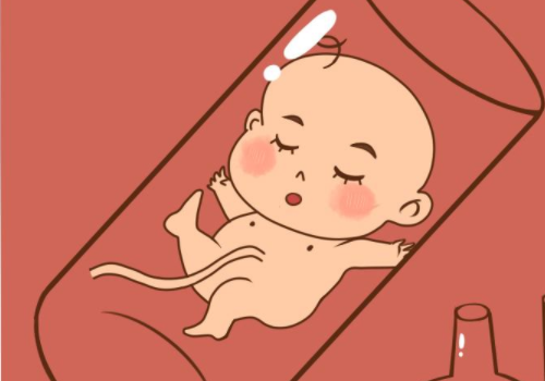 北京去俄羅斯做試管助孕？?