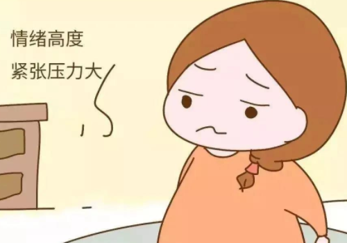 俄羅斯試管嬰兒的價格費用？